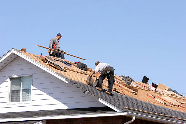 Best Cold Roofs  in Thatcher, UT